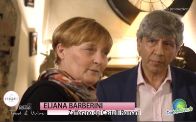 Nuova Intervista a Tele Ambiente